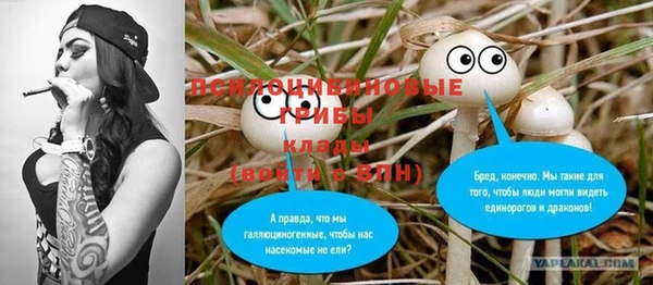 Альфа ПВП Медвежьегорск