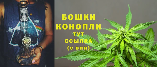 тгк Медногорск