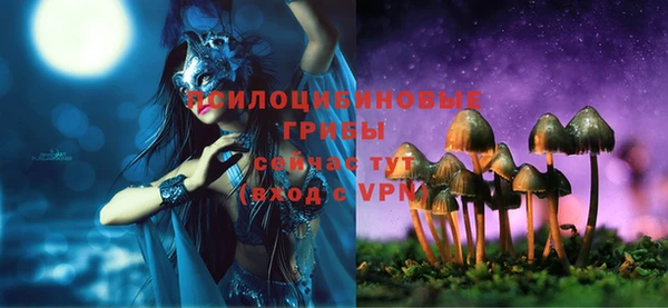 тгк Медногорск