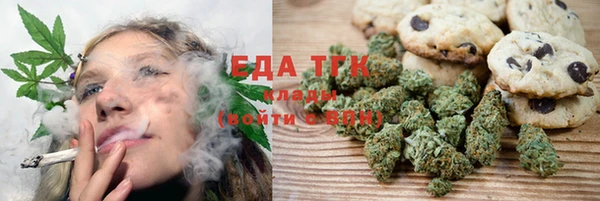 тгк Медногорск