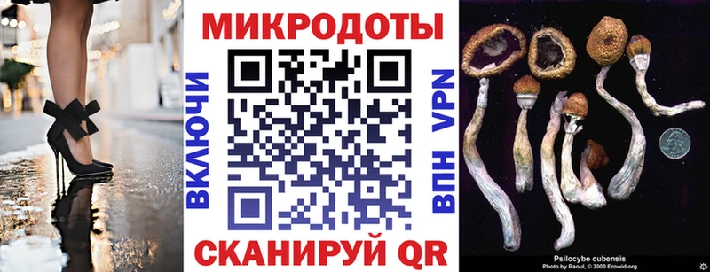 Галлюциногенные грибы MAGIC MUSHROOMS  дарнет шоп  Хвалынск 